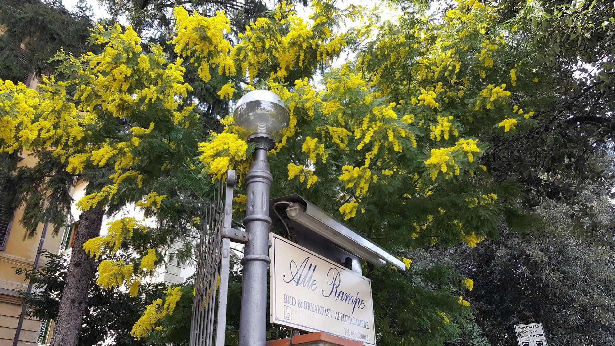 Villa Alle Rampe Φλωρεντία Εξωτερικό φωτογραφία